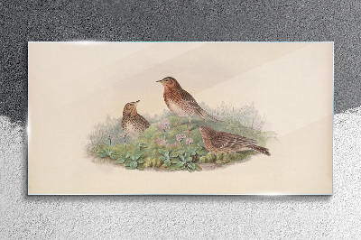 Foto op glas Vogels tegen een achtergrond van bloemen