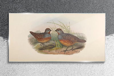 Schilderij op glas Een gevleugelde ontmoeting in het gras