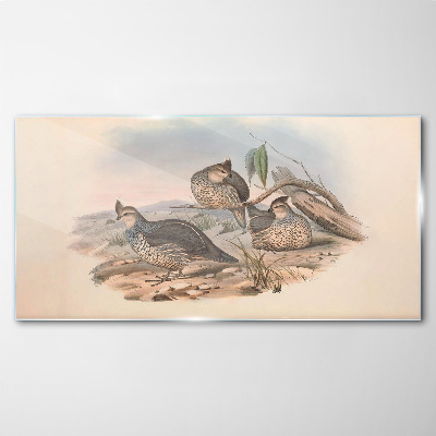 Schilderij op glas Vreedzaam vogelleven op het strand