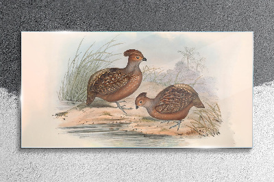 Foto op glas Een vredig landschap met vogels