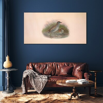 Foto op glas Vogels in het gras