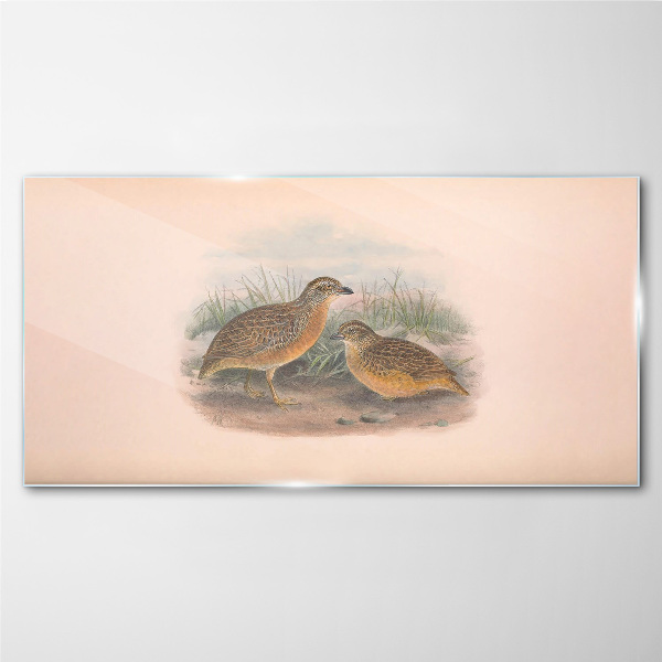 Schilderij op glas Twee vogels in het gras