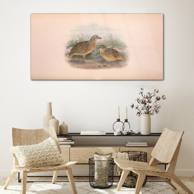 Schilderij op glas Twee vogels in het gras