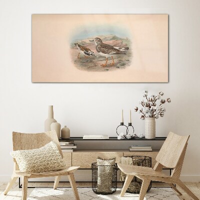 Foto op glas Vogels tegen de achtergrond van een woestijnlandschap