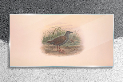 Glas foto Visser in het gras