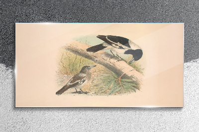 Foto op glas Vogels op een tak