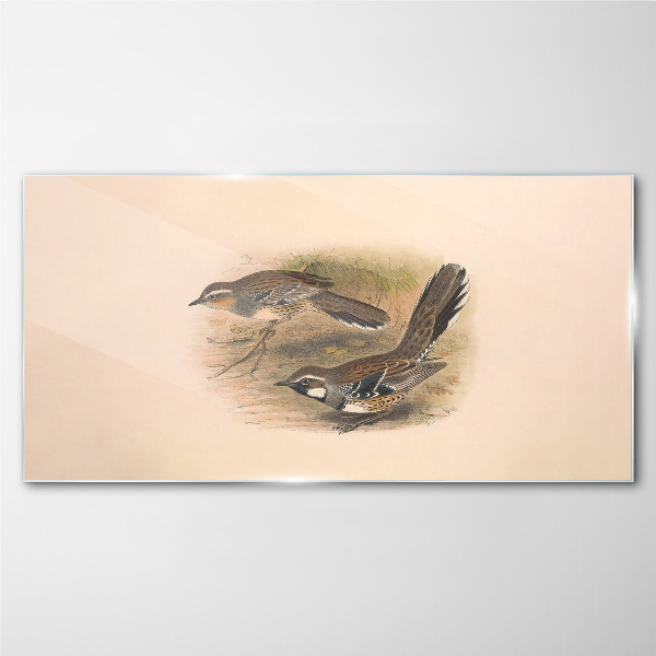 Schilderij op glas Vogels in een kwetsbare omgeving