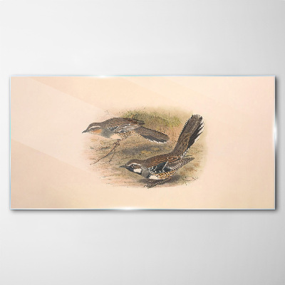 Schilderij op glas Vogels in een kwetsbare omgeving