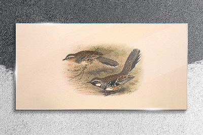 Schilderij op glas Vogels in een kwetsbare omgeving