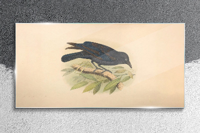 Glas foto Zwarte vogel op een tak