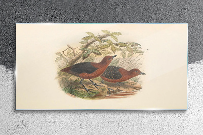 Schilderij op glas Vogels in hun natuurlijke habitat