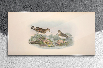 Foto op glas Vogels bij de vijver in pastelkleuren