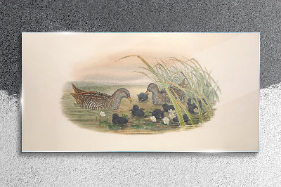 Glas foto Eendenfamilies in een waterrijke omgeving