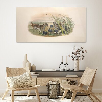 Glas foto Eendenfamilies in een waterrijke omgeving