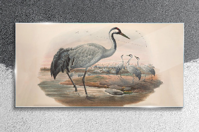 Schilderij op glas Kievit op de waterachtergrond