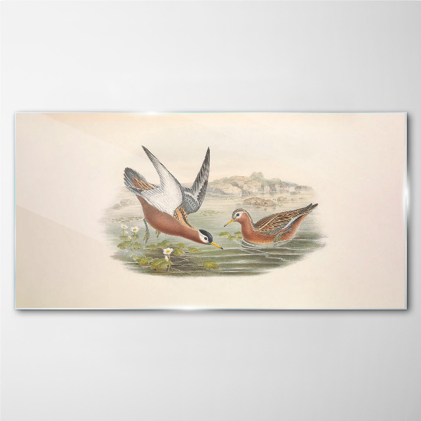Schilderij op glas Vogels over het water