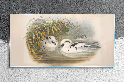 Glas foto Een idyllisch duet tussen de grassen