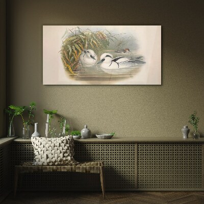 Glas foto Een idyllisch duet tussen de grassen