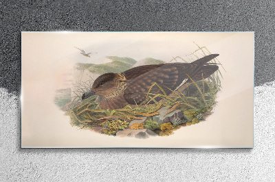 Schilderij op glas Een vogelnest in zijn natuurlijke omgeving