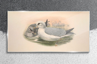 Foto op glas Zeevogels in het kalme water