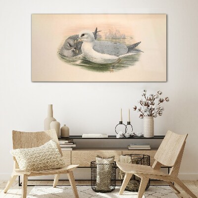 Foto op glas Zeevogels in het kalme water