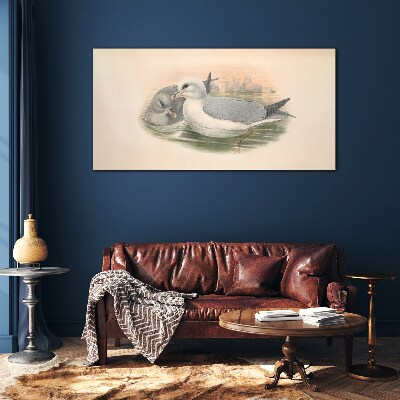 Foto op glas Zeevogels in het kalme water