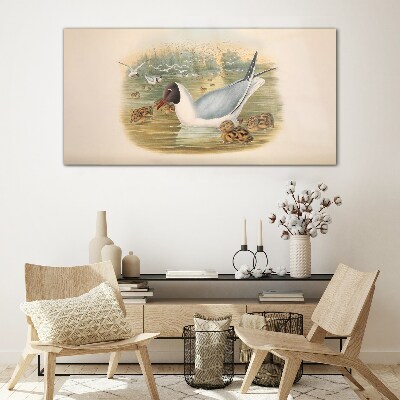 Glas foto Meeuw met jongen in het water