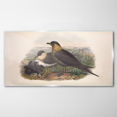 Schilderij op glas Een familie vogels op een nest