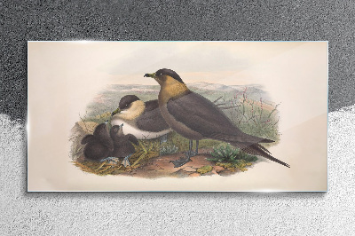 Schilderij op glas Een familie vogels op een nest