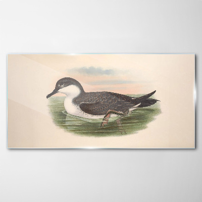 Foto op glas Een vogel op een waterachtergrond