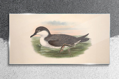 Foto op glas Een vogel op een waterachtergrond