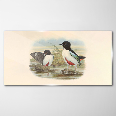 Glas foto Vogels over het water