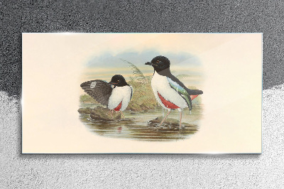 Glas foto Vogels over het water