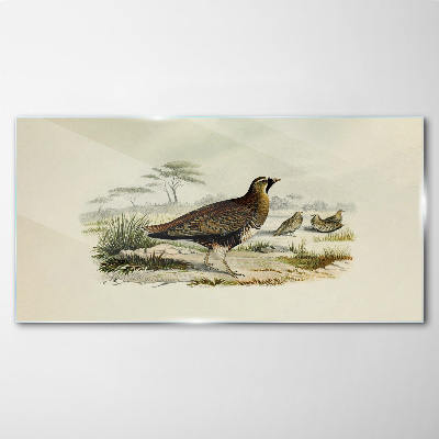 Schilderij op glas Vogels Wilde dieren