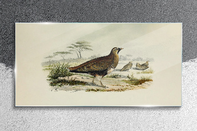 Schilderij op glas Vogels Wilde dieren