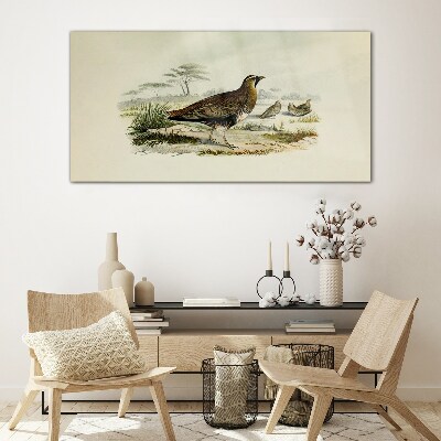 Schilderij op glas Vogels Wilde dieren