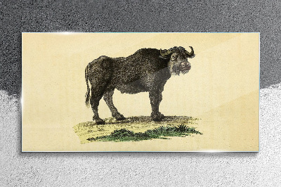 Foto op glas Buffel tegen een natuurlijke achtergrond