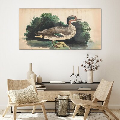 Foto op glas Een eend omringd door groen