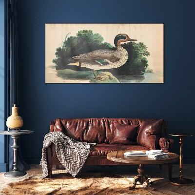 Foto op glas Een eend omringd door groen