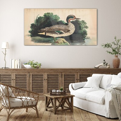 Foto op glas Een eend omringd door groen