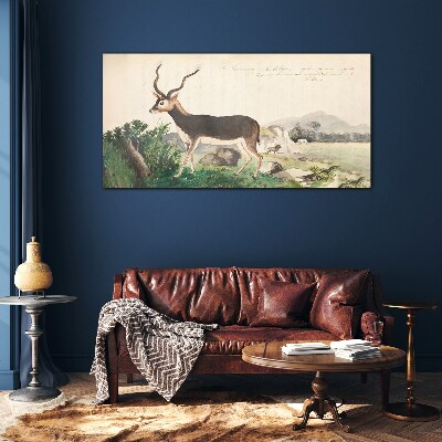 Glas foto Antilope tegen het landschap