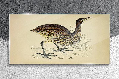 Foto op glas Vogelpatroon op een natuurachtergrond