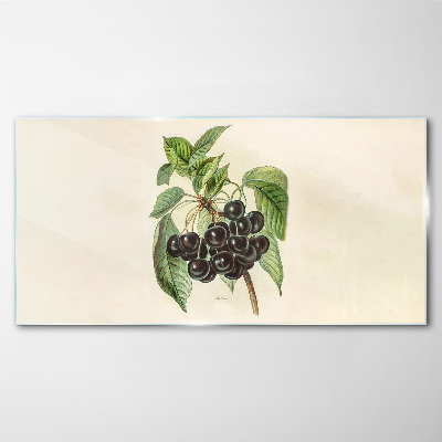 Foto op glas Zwarte vrucht op een tak