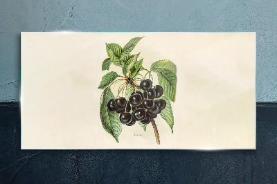 Foto op glas Zwarte vrucht op een tak