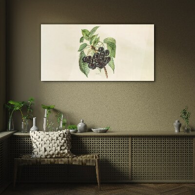 Foto op glas Zwarte vrucht op een tak