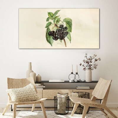 Foto op glas Zwarte vrucht op een tak