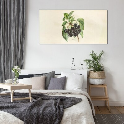 Foto op glas Zwarte vrucht op een tak