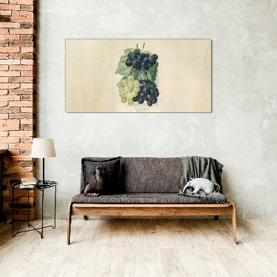 Glas foto Fruitig duo van druiven