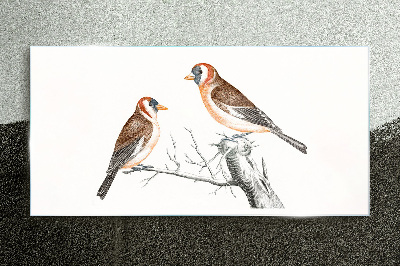 Foto op glas Twee vogels op een tak