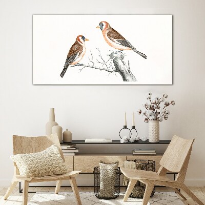 Foto op glas Twee vogels op een tak